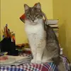 Отзыв от Эмма Гордеева